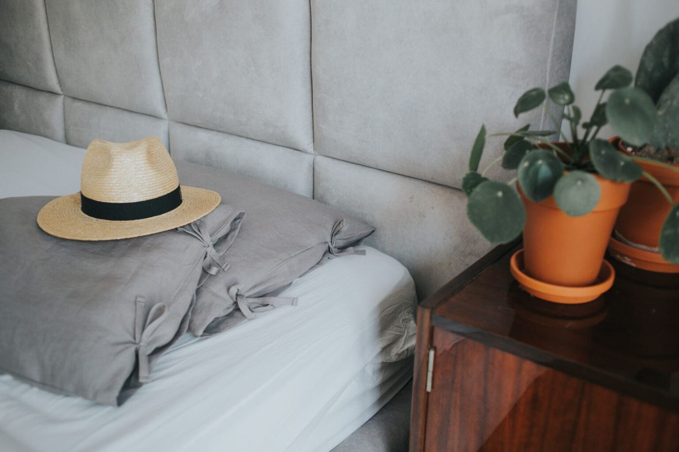 Cute fedora hat cozy bed with pillows