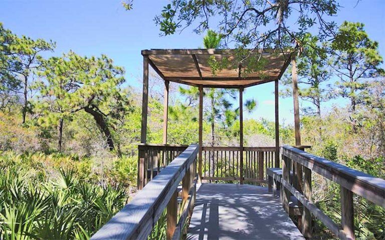 End of boardwalk with covered viewing area at erna nixon park west melbourne 768x480