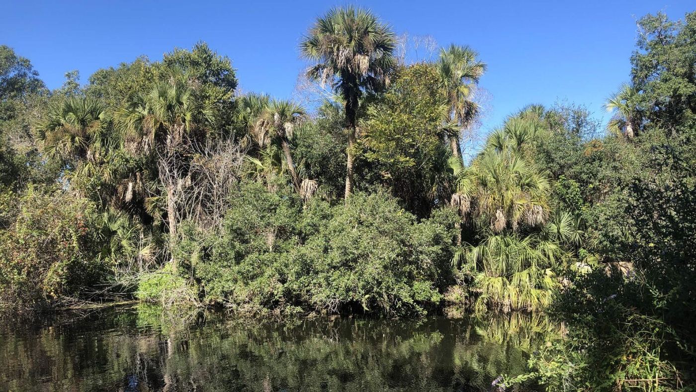 Turkey Creek in Palm Bay, Florida