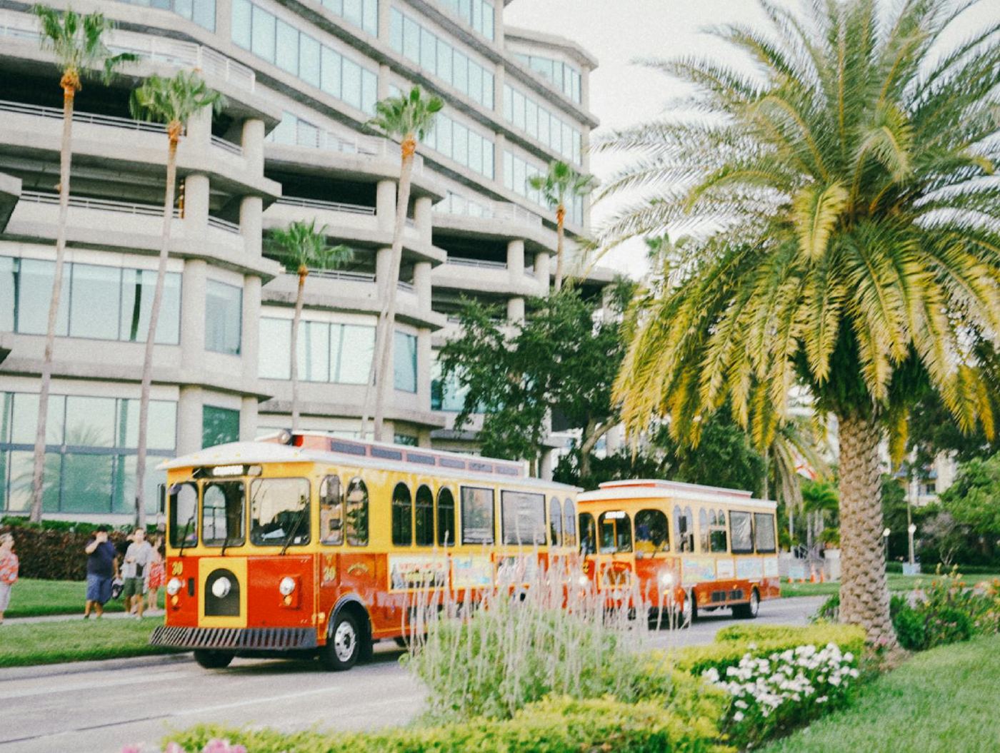 Vibrant tampa street with iconic trolleys palm trees and modern architecture
